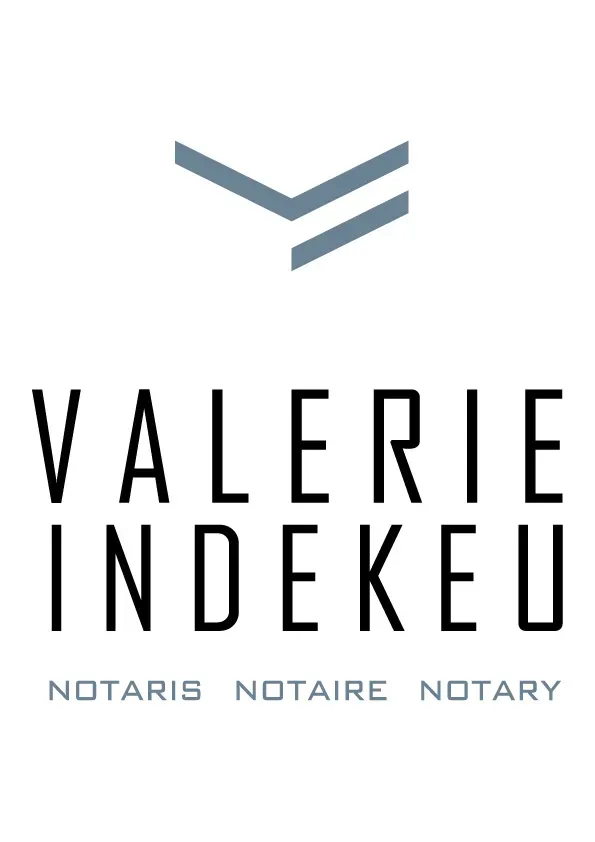 valerie_indekeu_logo_color.jpg